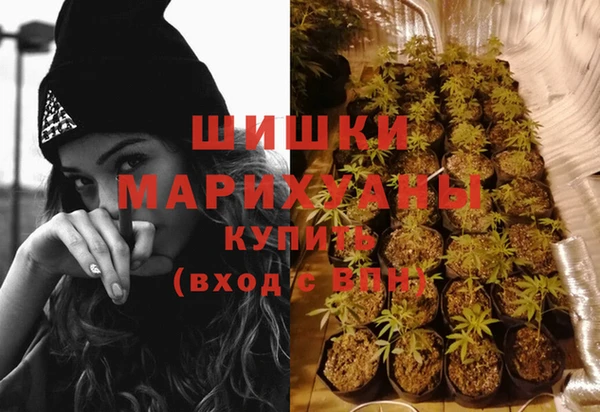сатива Алзамай
