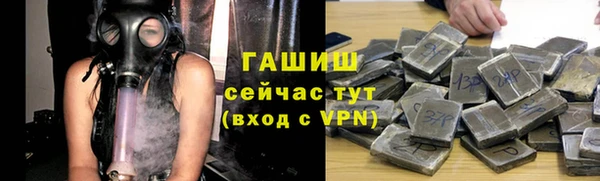 сатива Алзамай