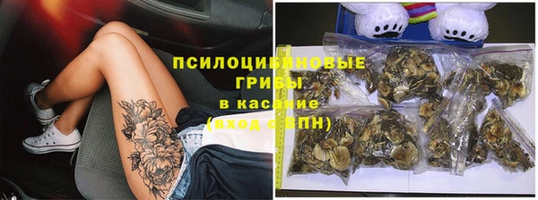 дурь Алексеевка