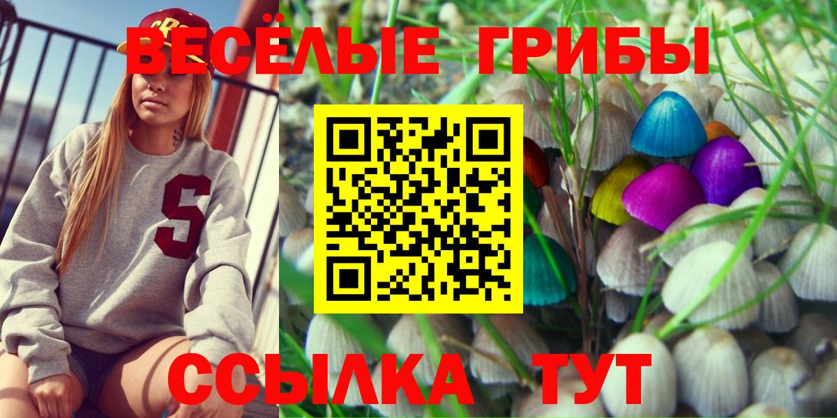 Галлюциногенные грибы Psilocybine cubensis Слободской
