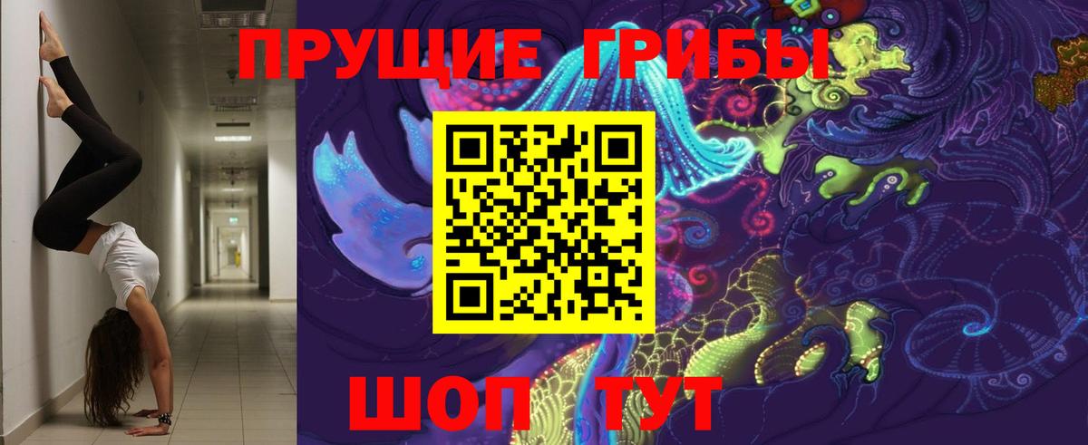 Слободской  Псилоцибиновые грибы мицелий  Вход с VPN 