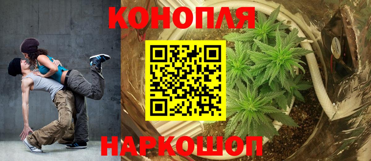 Конопля марихуана Слободской